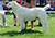 ��������������� �������