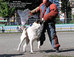 ����������� ��������������� �������