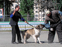 ����������� ���������� �������