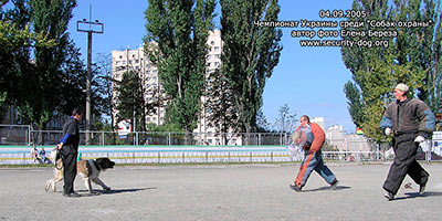 ����������� ���������� �������