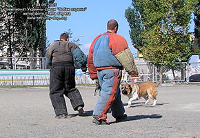 ����������� ���������� �������