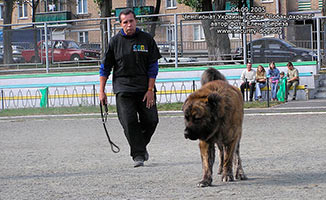 ����������� ���������� �������