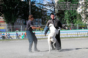 ����������� ��������������� �������