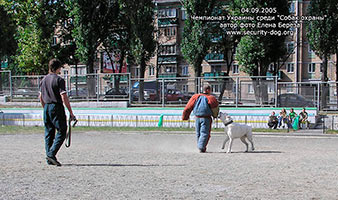 ����������� ��������������� �������