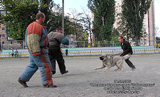 ����������� ���������� �������