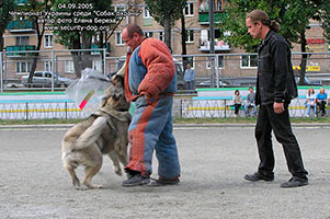 ����������� ���������� �������