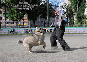 ����������� ���������� �������