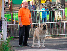 ����������� ���������� �������