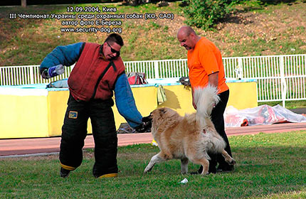 ����������� ���������� �������