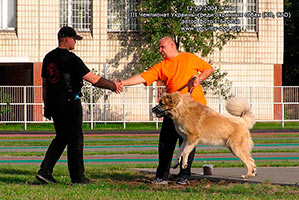 ����������� ���������� �������