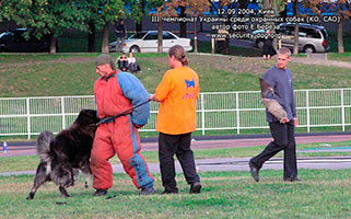 ����������� ���������� �������