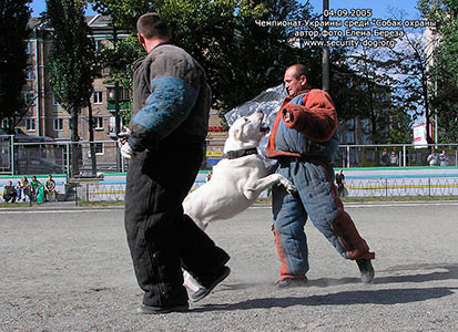 ����������� ��������������� �������